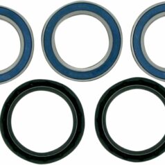WHEEL BEARING AND SEAL KIT