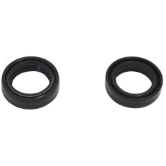 FORK OIL SEAL KIT MGR-RSA 33x46x11