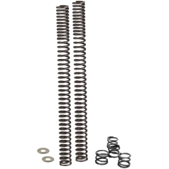 FORK LOWERING KIT