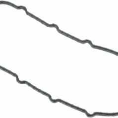 SEAL FOR FUEL PUMP DOOR