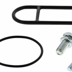 REBUILD KIT PETCOCK AC