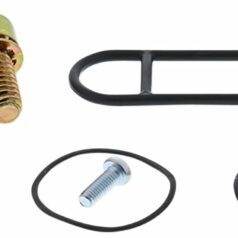 REBUILD KIT PETCOCK POL