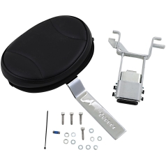 PLUG-N-GO DRIVER BACKREST