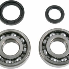 CRANK SHAFT BEARING/SEAL KIT SUZUKI