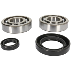 CRANKSHAFT BEARING AND SEAL KIT