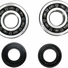 CRANKSHAFT BEARING AND SEAL KIT