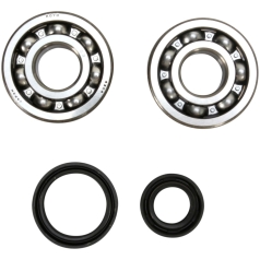 CRANKSHAFT BEARING AND SEAL KIT