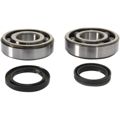 CRANKSHAFT BEARING AND SEAL KIT