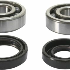 CRANKSHAFT BEARING AND SEAL KIT