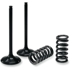 VALVE AND SPRING EXHAUST KIT