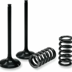 VALVE AND SPRING INTAKE KIT
