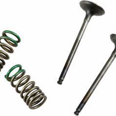 VALVE AND SPRING EXHAUST KIT