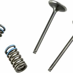 VALVE AND SPRING INTAKE KIT