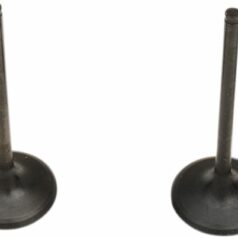 VALVE AND SPRING INTAKE KIT