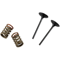 VALVE AND SPRING INTAKE KIT