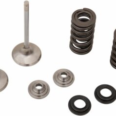 VALVE EX MSE CRF450 RX/WE