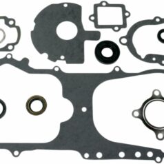 COMPLETE GASKET SET WITH OIL SEALS  ATV-UTV