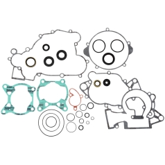 COMPLETE GASKET SET WITH OIL SEALS