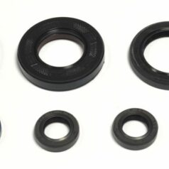 ENGINE OIL SEAL KIT