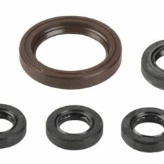 ENGINE OIL SEAL KIT