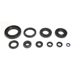 ENGINE OIL SEAL KIT