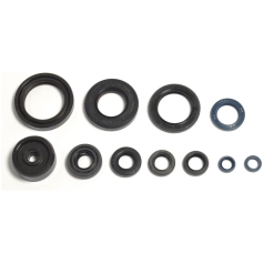 ENGINE OIL SEAL KIT
