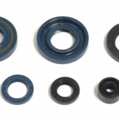 ENGINE OIL SEAL KIT