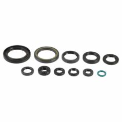 ENGINE OIL SEAL KIT