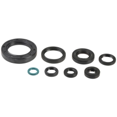 ENGINE OIL SEAL KIT