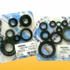 ENGINE OIL SEAL KIT
