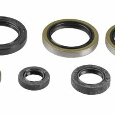 ENGINE OIL SEAL KIT