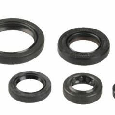 ENGINE OIL SEAL KIT