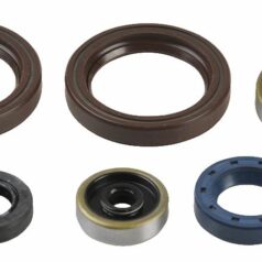 ENGINE OIL SEAL KIT