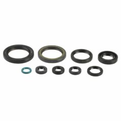 ENGINE OIL SEAL KIT