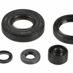 ENGINE OIL SEAL KIT