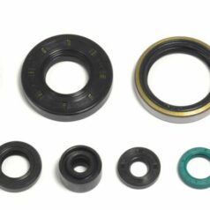 ENGINE OIL SEAL KIT