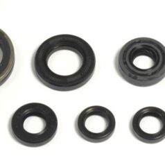 ENGINE OIL SEAL KIT