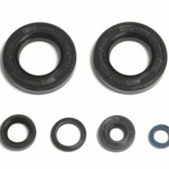 ENGINE OIL SEAL KIT