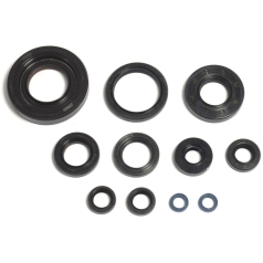 ENGINE OIL SEAL KIT