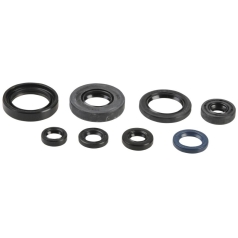 ENGINE OIL SEAL KIT