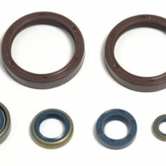 ENGINE OIL SEAL KIT