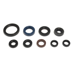 ENGINE OIL SEAL KIT