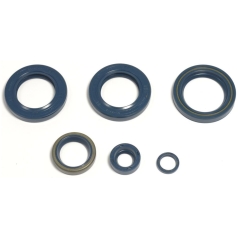 ENGINE OIL SEAL KIT