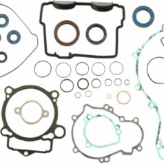 COMPLETE GASKET KIT WITH OIL SEALS