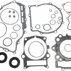 COMPLETE GASKET SET WITH OIL SEALS