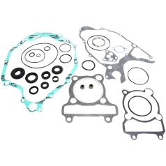 COMPLETE GASKET SET WITH OIL SEALS