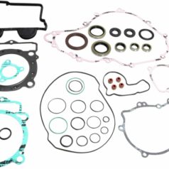 COMPLETE GASKET SET WITH OIL SEALS