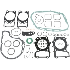 COMPLETE GASKET KIT WITH OIL SEALS