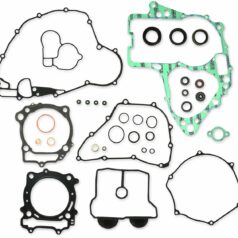 COMPLETE GASKET KIT WITH OIL SEALS