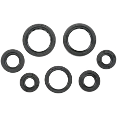 OIL SEAL SET